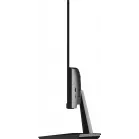 Монитор NPC 24.5" MF2558 черный VA LED 3ms 16:9 HDMI 400:1 250cd 178гр/178гр 1920x1080 100Hz VGA FHD 3.12кг