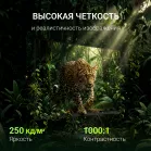 Монитор Digma 21.5" Progress 22P601F черный IPS LED 1ms 16:9 HDMI M/M матовая 250cd 178гр/178гр 1920x1080 120Hz DP FHD 2.2кг