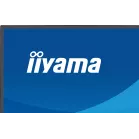 Монитор Iiyama 27" ProLite XB2797QSN-B1 черный IPS LED 16:9 HDMI M/M матовая HAS Piv 350cd 178гр/178гр 2560x1440 75Hz DP Quad 2K (1440p) USB 5.8кг