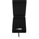 Камера Web Ritmix RVC-250 черный 5Mpix (2592x1944) USB2.0 с микрофоном