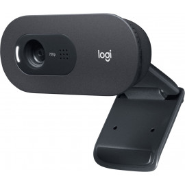 Камера Web Logitech C505e черный 1.2Mpix (1280x720) USB2.0 с микрофоном для ноутбука (960-001373)