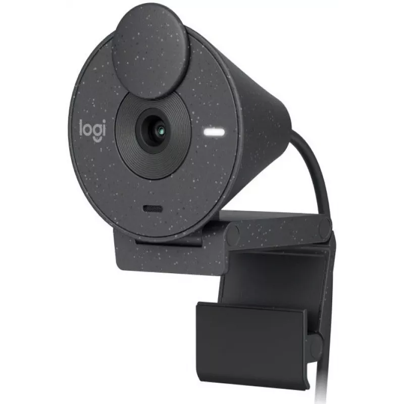 Камера Web Logitech HD Webcam Brio 300 графитовый 2Mpix (1920x1080) USB Type-C с микрофоном (960-001437)