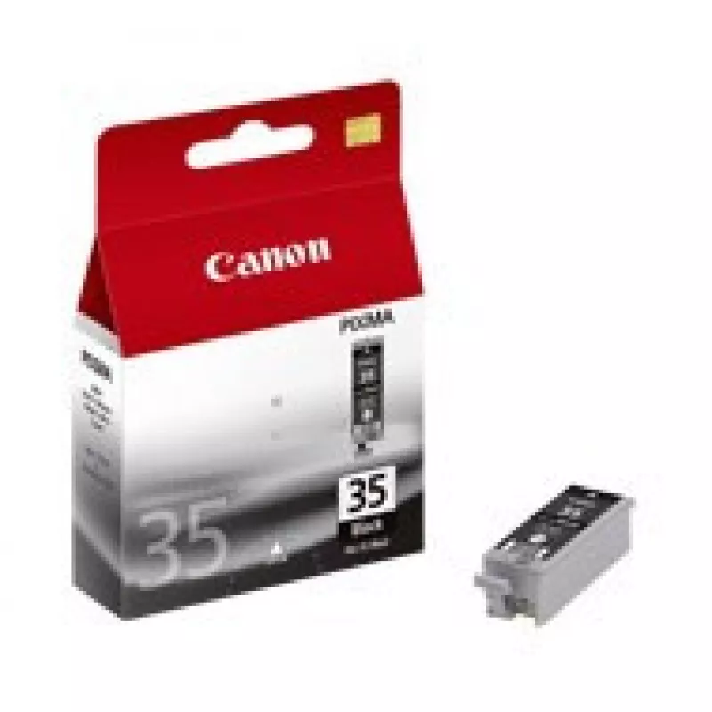 Картридж струйный Canon PGI-35 1509B001 черный печ.гол.в компл. для Canon Pixma iP100