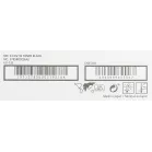 Картридж лазерный Canon C-EXV33 2785B002 черный для Canon IR2520/2525/2530