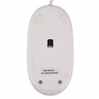 Мышь Проводная Genius DX-Mini WHITE,USB, Компакт,1.5м
