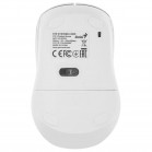 Мышь Беспроводная Genius NX-8025S White+Grey