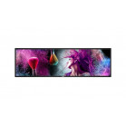 Специальный дисплей  Philips 37BDL3050S/00 37