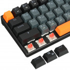 Клавиатура механическая DEFENDER Apex GK-002 RU,3цв/черн,радуж,61к,крас,св