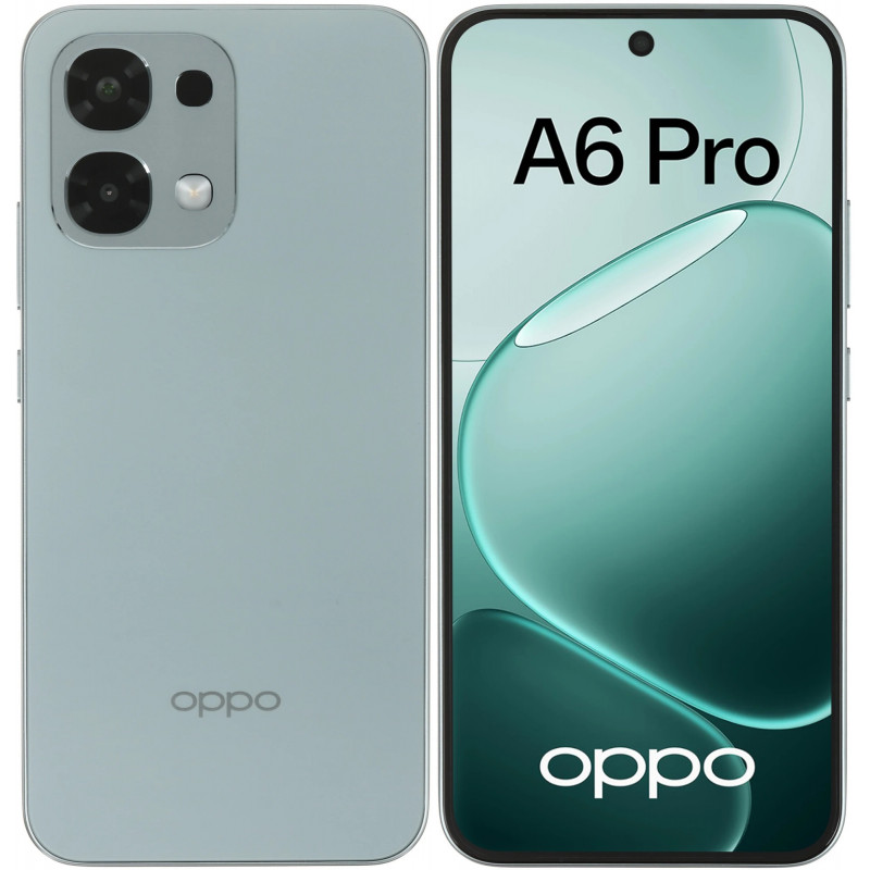Смартфон OPPO A6 Pro CPH2799 8+256 Lunar Titanium