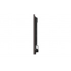 Интерактивный дисплей Philips 75BDL3652T/00 75