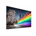 Коммерческий телевизор Philips 75BFL2214/12 75