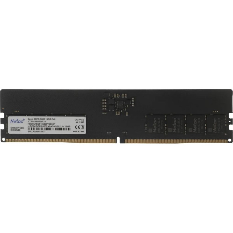 Оперативная память Netac Basic DDR5 16GB 5600Mhz DIMM C46 NTBSD5P56SP-16
