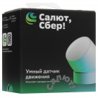 Умный датчик движения Sber SBDV-00029