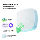 Умная кнопка Sber SBDV-00032