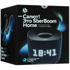 Умная колонка SberBoom Home SBDV-00171D Морской