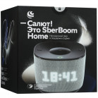 Умная колонка SberBoom Home SBDV-00171G Туманный