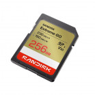 Карта памяти SanDisk Extreme GO SDXC SDSDXGN-256G-GNCIN 256GB A2 V30 U3 C23