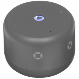 Умная колонка Яндекс Станция Лайт 2 на YaGPT, модель YNDX-00026 (серый)