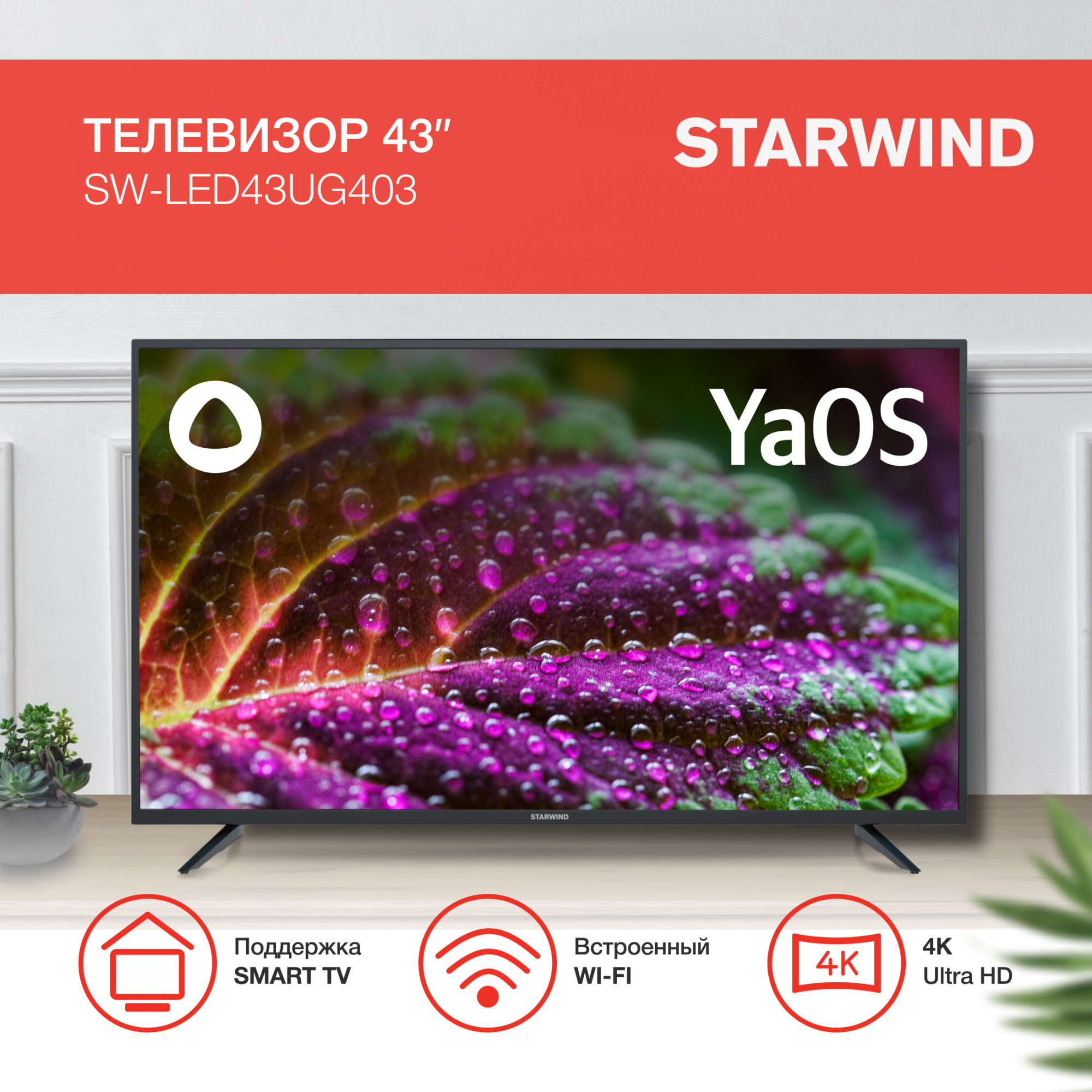 Купить телевизор starwind